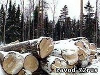 Депутат находится под следствием за незаконную вырубку леса в Упоровском районе