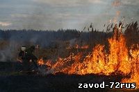 В Тюменской области к административной ответственности за сжигание сухой травы уже привлечены более 40 человек