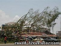 Мощный циклон обрушится 17-18 ноября на тюменскую область