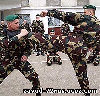 Заводоуковские спортсмены примут участие по армейскому рукопашному бою