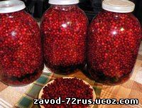  В Заводоуковске из-за 3-х литров ягод убили человека.