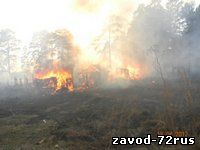 В Заводоуковске пожар лишил многодетную семью дома! 