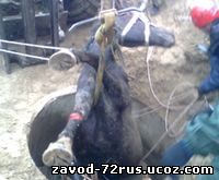 Тобольские спасатели вытащили лошадь из колодца